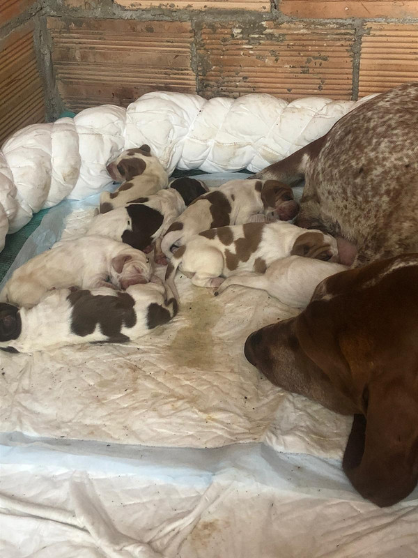 C86F794E-5BF7-4E0E-B945-152306CA1585