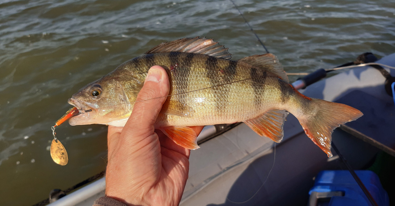 20210901_080001 — копия то