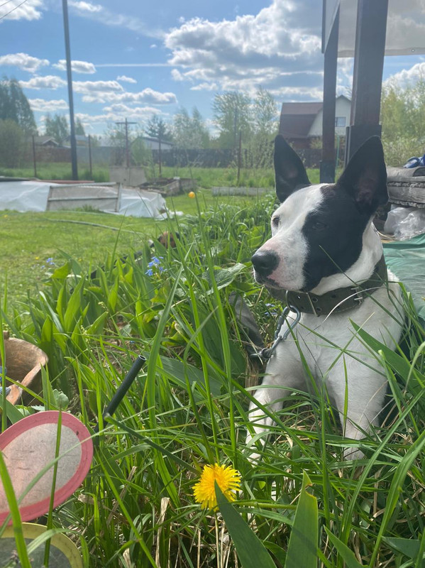 A9DA7A42-2CD7-4249-B8FE-72A5E5FDE91D