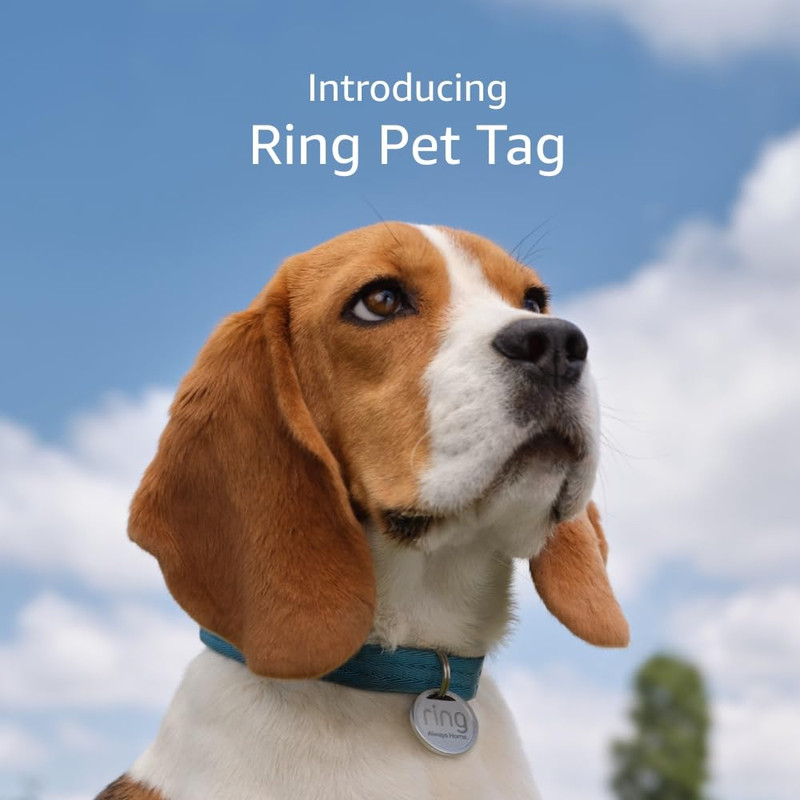 Ring Pet Tag QR Code Pet Profile Tag
