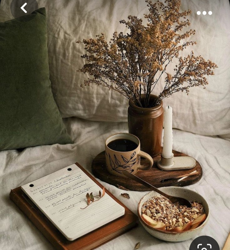 Screenshot_20230923_235758_Pinterest