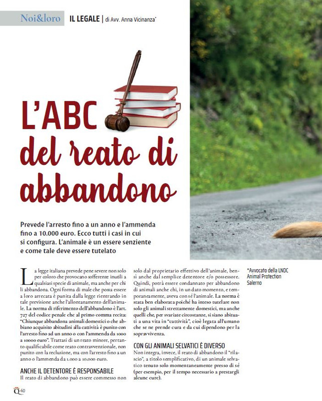 QuattroZampe Set 2021 (1)