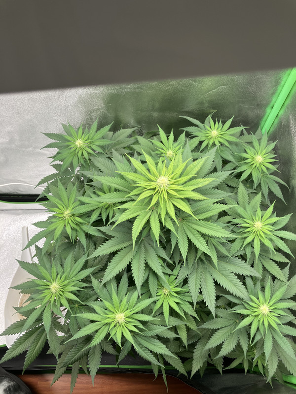 07F3B881-CB21-486B-93E3-616AADEDFBD2