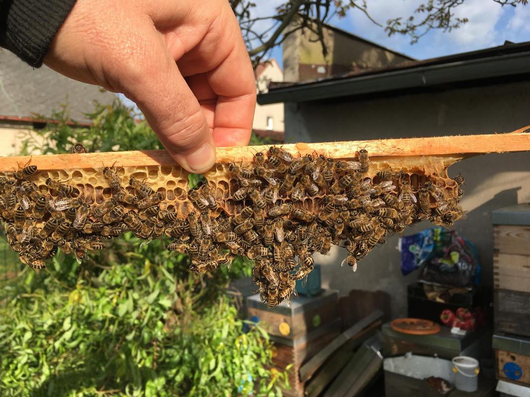 38912161-3ADD-443C-9718-DF1CE09E92B4