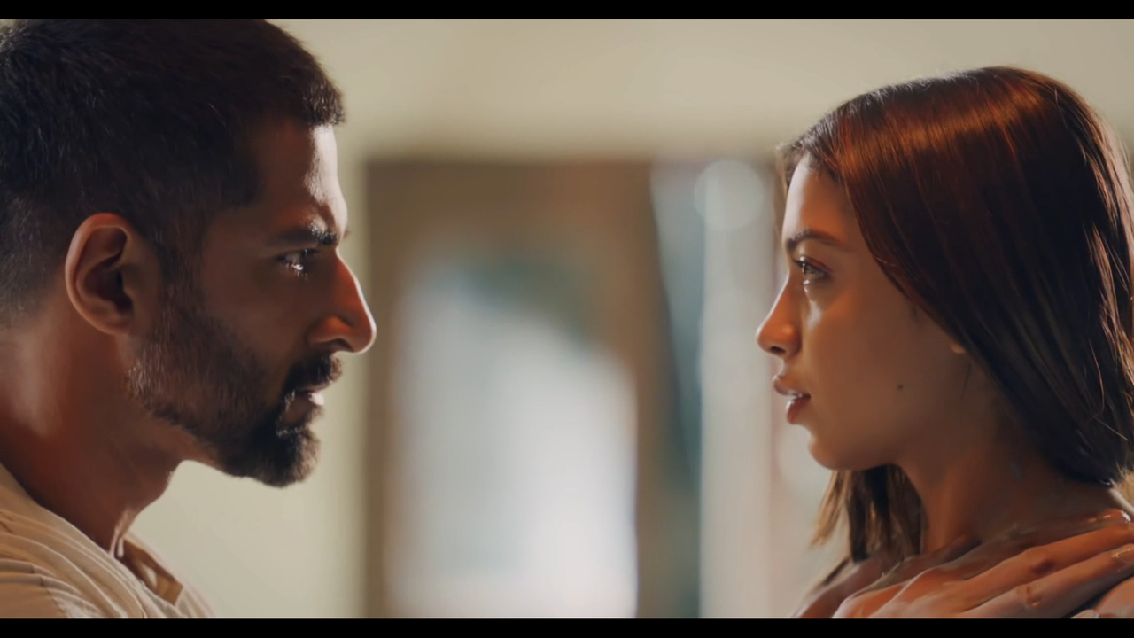 1008(1).mp4 - VLC media player 08-10-2023 13_56_09