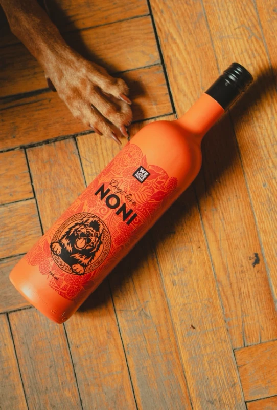 Healthy dog enjoying Dogs Love Noni fermented noni juice supplement Ireland
