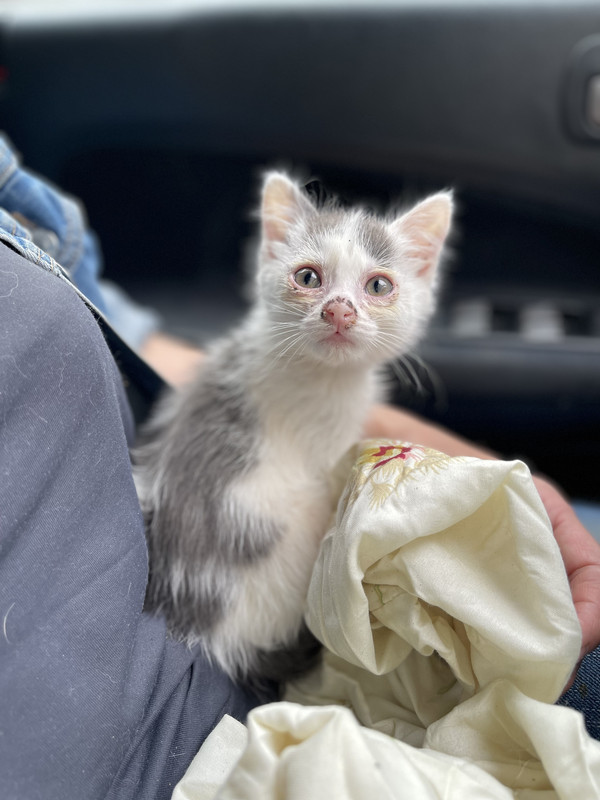 C11EA7FE-FDC3-496C-B4E7-5C477CCB3630