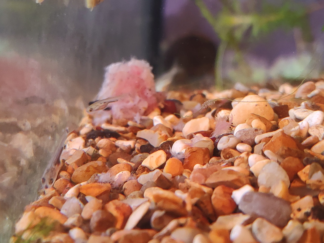 IMG_20240808_192301135