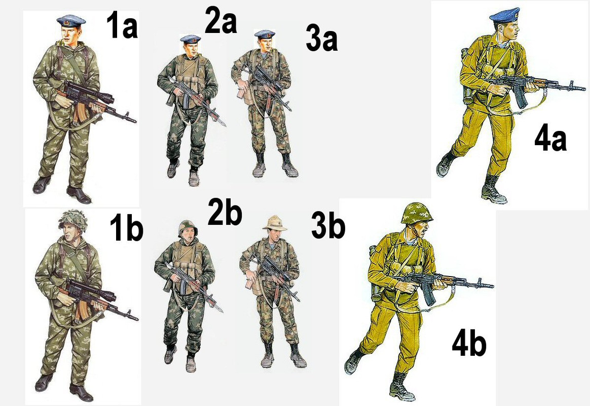 VDV warianty