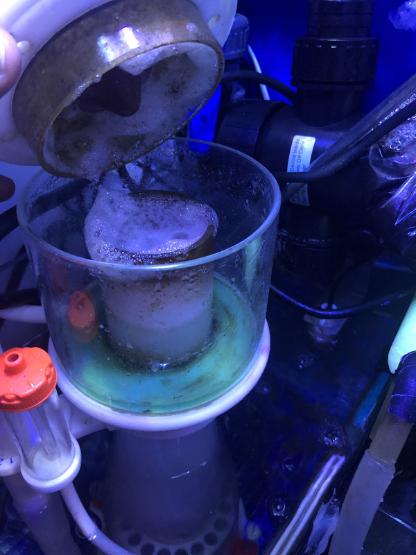 443ECFC1-85EE-4270-9316-B8BBA6023B5B