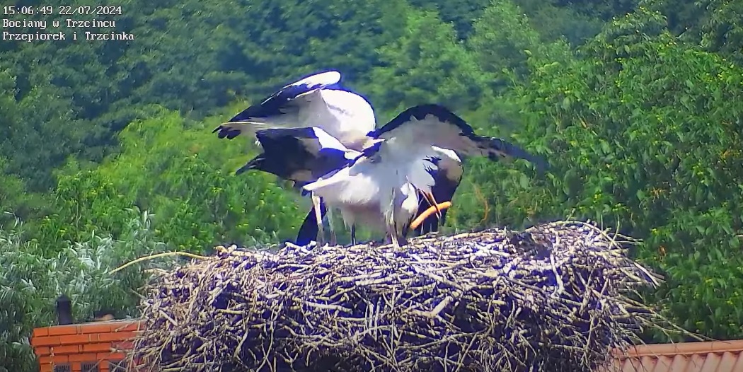 parowkaponownieiznowu