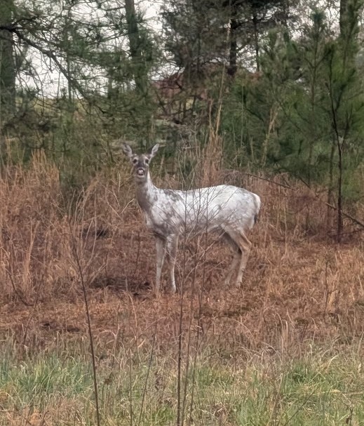 IMG 20260304 114247 2