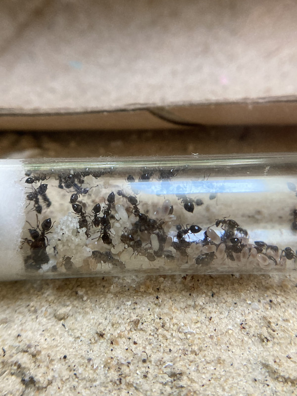 E135F52B-9485-4419-9EE2-69CE006F3891