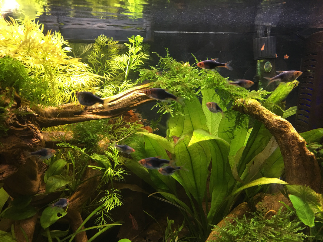 8DCA9770-7E22-4FED-8CFC-2D7DBC1236C1