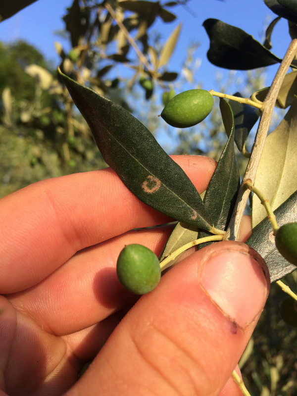 0B1C0919-2CD7-4D2B-8736-304E2BB3CFE1