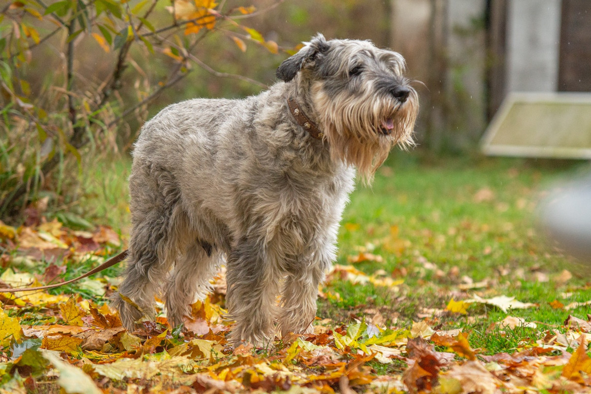 lCm0OOgzBMAtA_c9mVzHdLUH09HuPr7H2Sdf4yynXdQikDtIDBEcKelIk0HQNHJLw_y1RP59h2GHQUQskErnpQSl