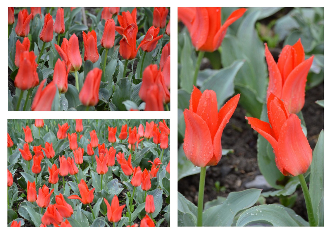 Новый коллаж.jpg 15