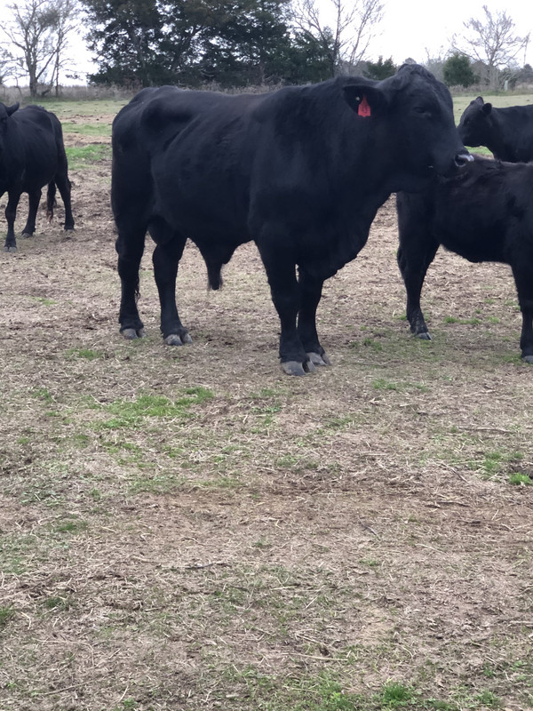 ABD36701-4861-4925-AA81-4BC65F03E9B5