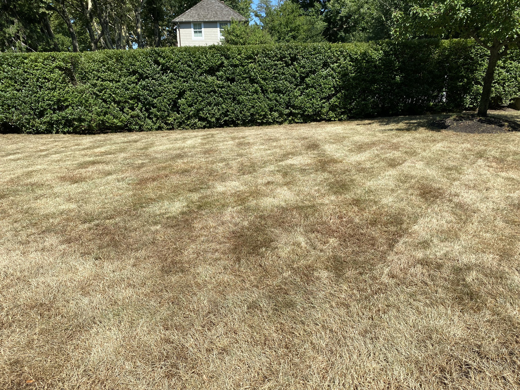 FC555062-FB08-4FC3-B359-E02403C58DB2