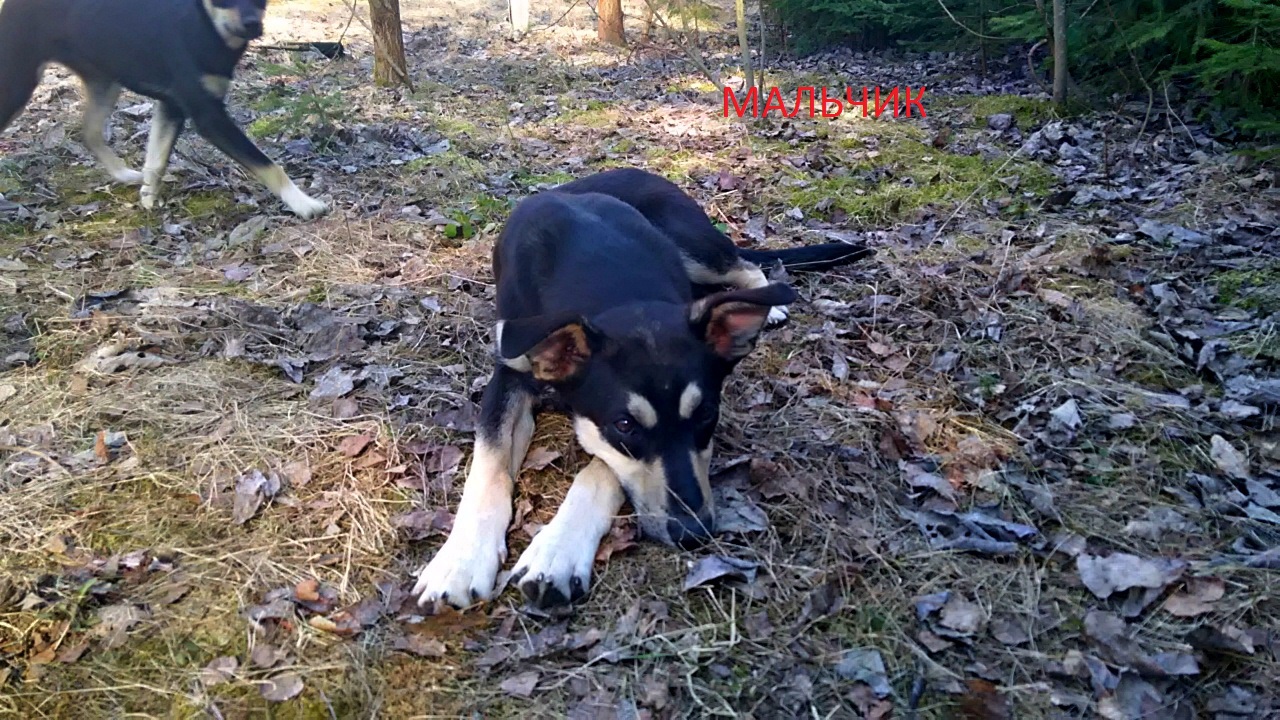 39C55A12-069D-44E5-A802-EEAEC6E7B260