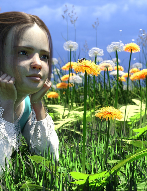 Dandelions – Grassland and Lawn Plants and Seeds Dandelions – Grassland and Lawn Plants and Seeds
