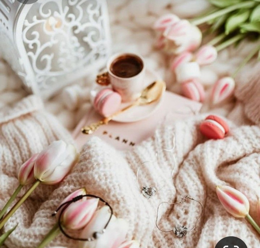 Screenshot_20230408_001400_Pinterest