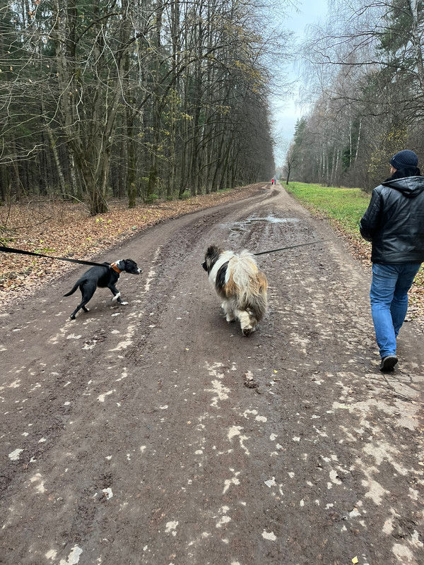 EFEFC308-68A4-4A21-91D9-5C1D9E775094