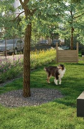 Pet place exclusivo para animais de estimação do Edifício Capiba