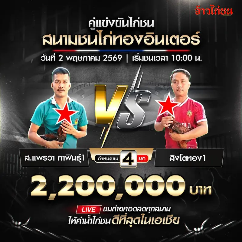 ส.แพรวา กาฬสินธุ์ 1 พบ สิงโตทอง 1 สนามชนไก่ทองอินเตอร์ 2 พฤษภาคม 2569