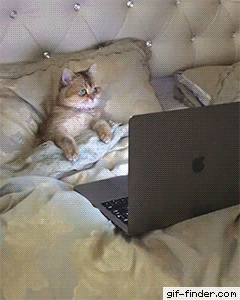 daily-gifdump-3390-24.gif