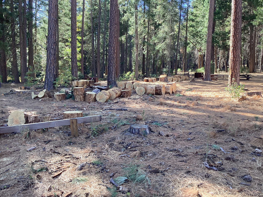 5AAD29AC-CBF3-4DF6-BB02-F1C21740BB6D