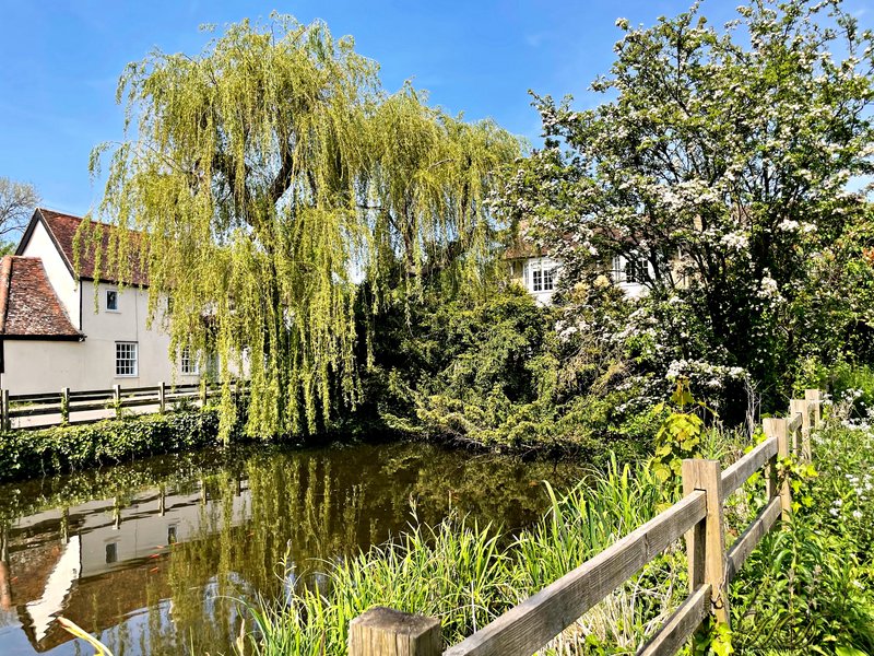 duck-pond-HD.jpg