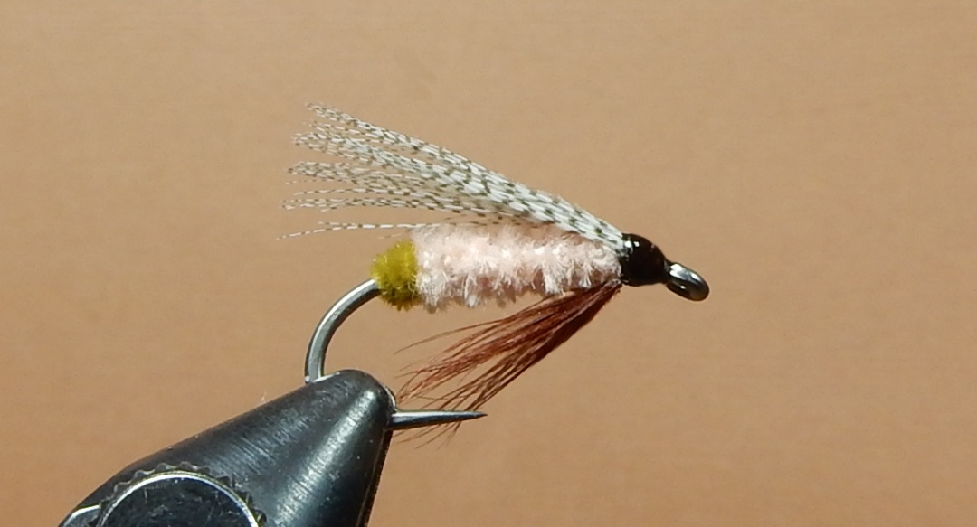 Proctor-1080.jpg