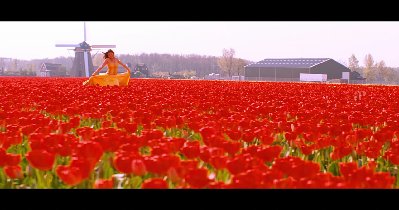 VideoCapture_20241122-200325