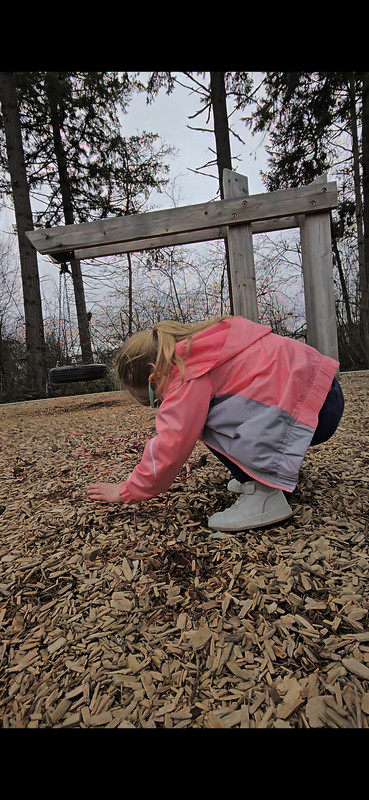 Screenshot_20240305_133522_Gallery