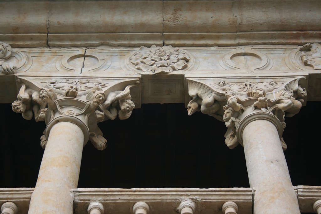 CONVENTO DE LAS DUEÑAS DE SALAMANCA, Monumento-España (12)