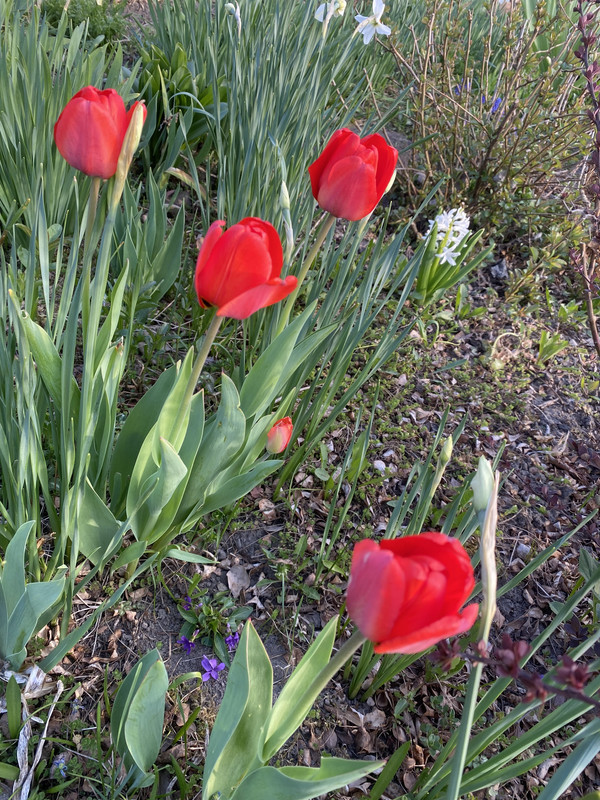 D7F725FE-06FA-4101-9D50-908EDF283C2E