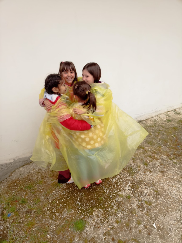 6e41b381-0284-4567-ab2d-39a2883c8b3d