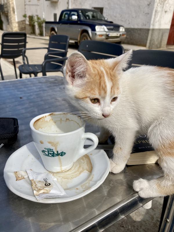 FE2D165C-8B45-4623-9A46-7E17E49E1C74