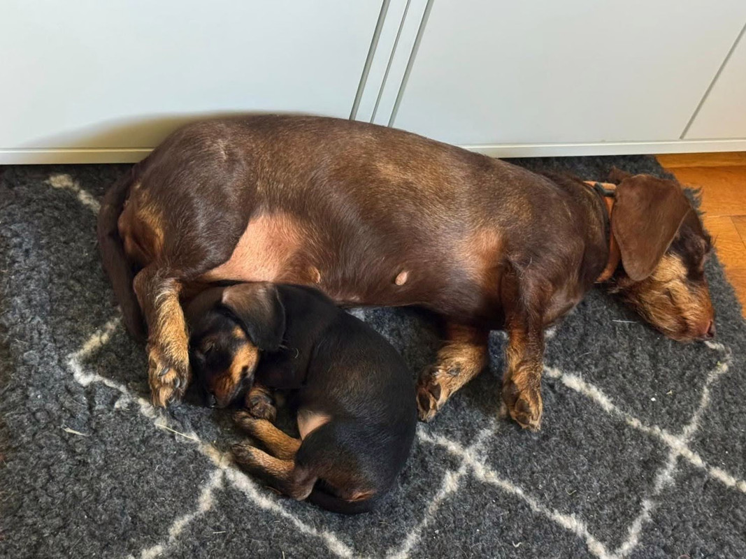 [Image: d95926ea-bedc-42fd-8860-83faa5eaaa2e-EDIT.jpg]