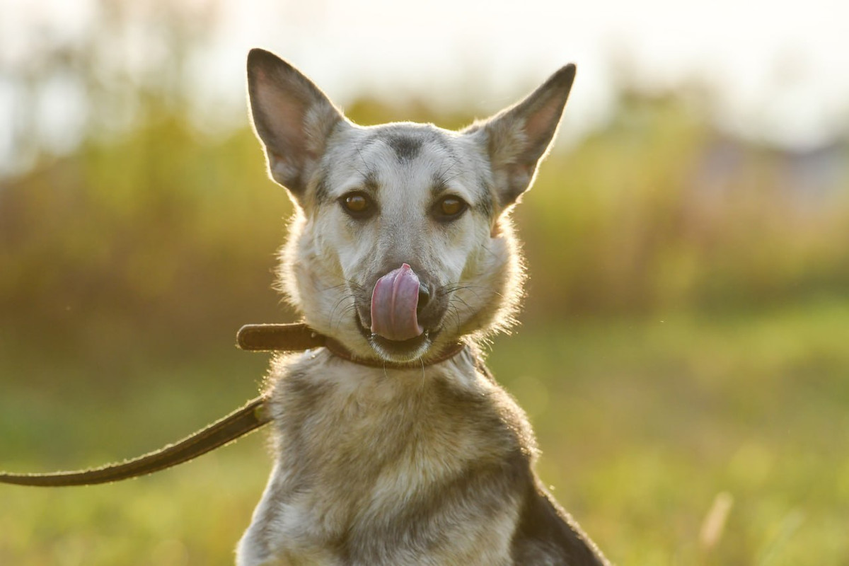 photo_2023-04-30_22-33-10 (2)