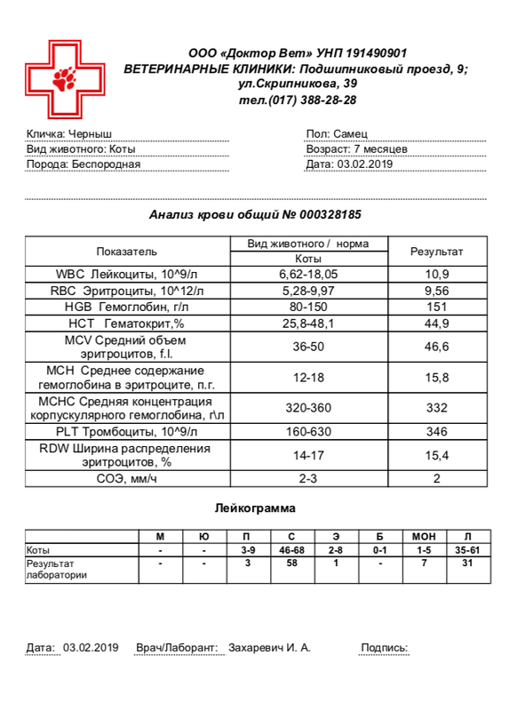 ACAE437F-081C-4312-86E1-9F61E36D0372