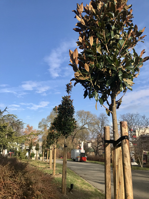 7520066F-6A03-45C0-A74B-F16FBD477967