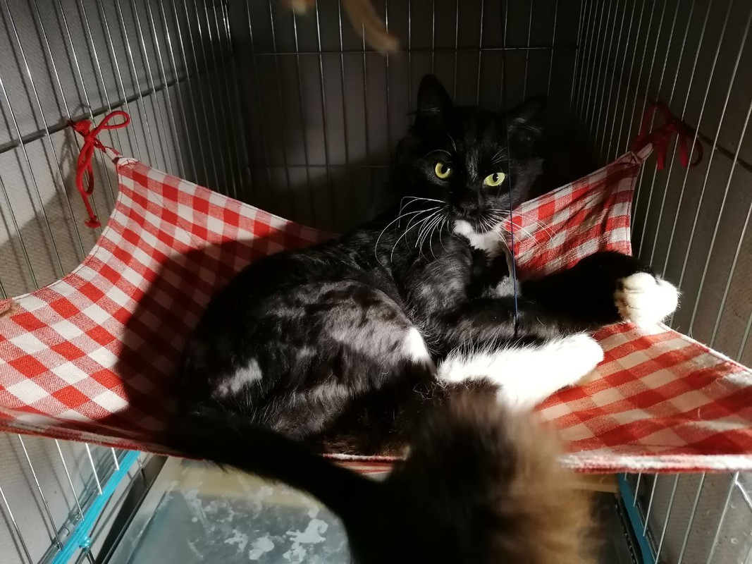 CF8183E4-E039-419A-A743-2905E87569AE