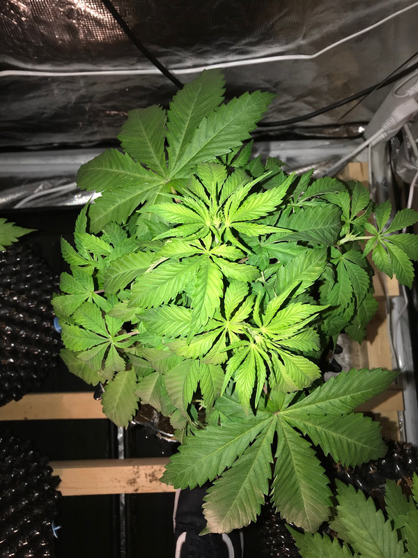 BCB73559-43A8-48E5-B895-37073EA95AC7