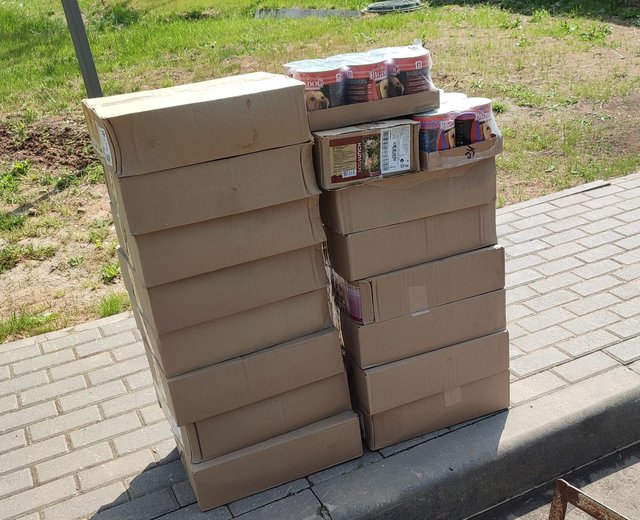 PHOTO-2025-06-07-14-57-58