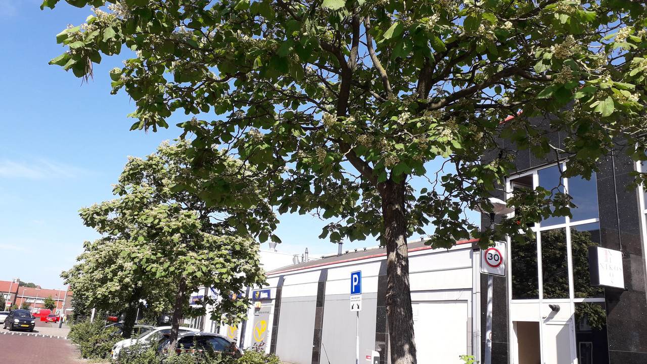 [Image: 20190630-170749.jpg]