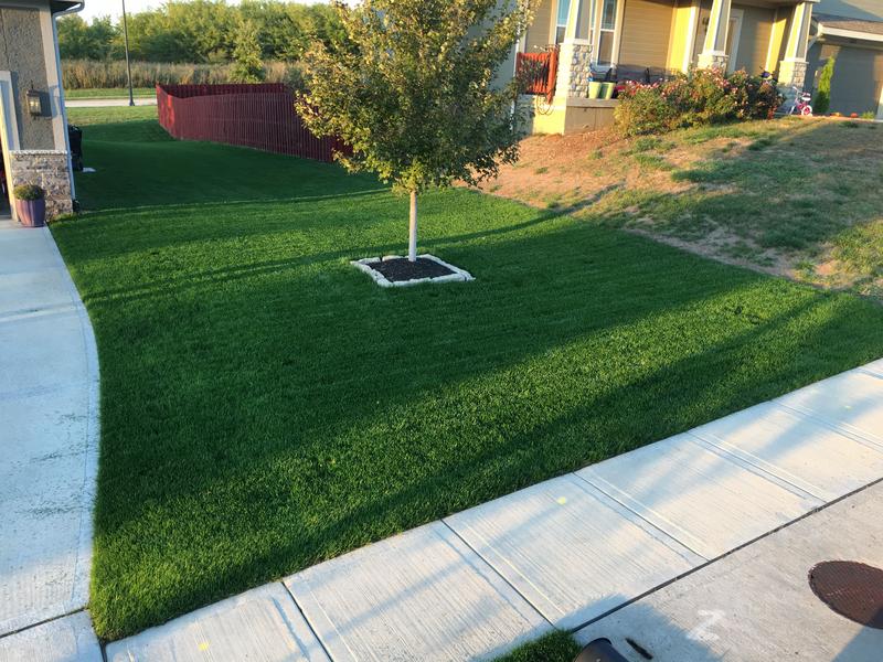 142255BE-7A1B-44F5-BC73-CD9E965DBC5F