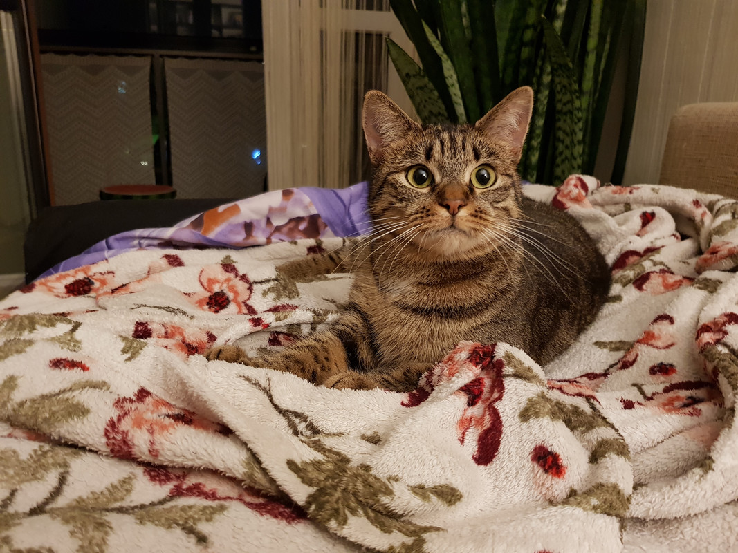 20190929-221347.jpg
