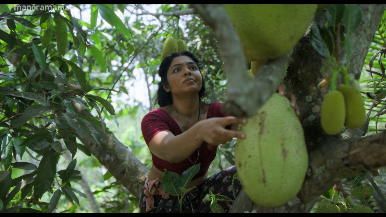 vlcsnap 2026 02 25 12h51m06s822